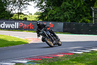 Lower Group Black Bikes